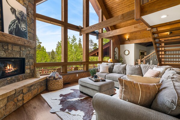 Smart TV, fireplace, books, printers