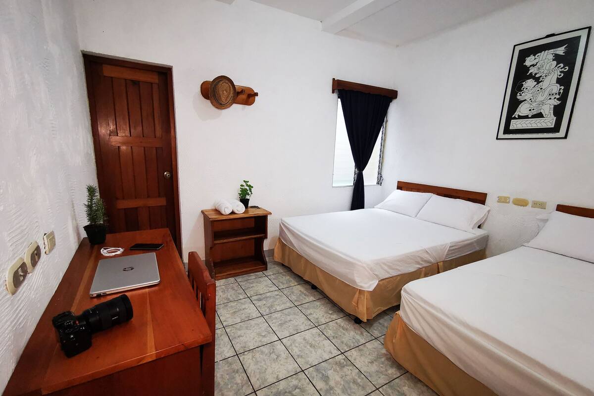A clean, well-lit room with two beds, a desk with a laptop, a camera, and a small plant.