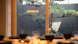 Un restaurant avec un bonsaï en arrière-plan.