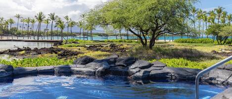 A pool area with clear blue water, surrounded by rocks and a tree, with a view of the ocean and palm trees in the background.