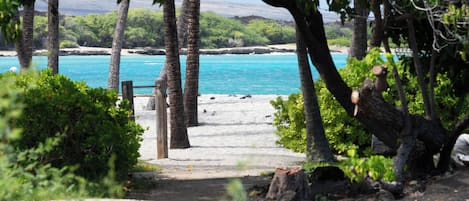 ビーチの近く、サンラウンジャー、ビーチタオル