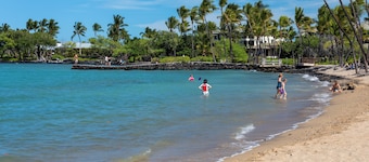 Hilton Pool Pass - Experience luxury at Kolea-Remodeled Penthouse, Walk to Beach