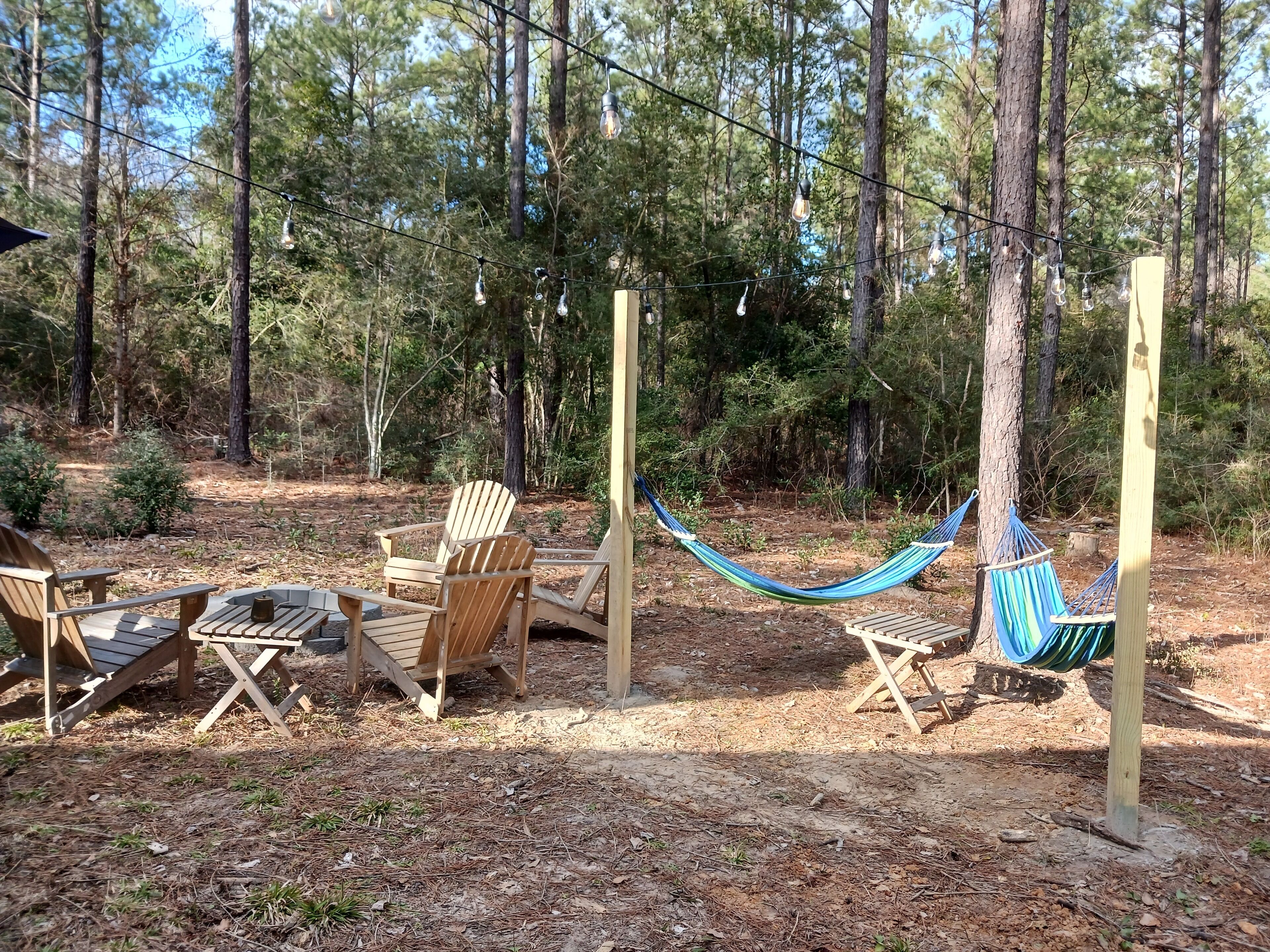 Pet friendly cabin on 5 acres!