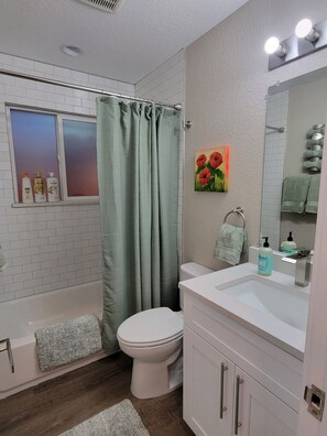 Combined shower/tub, hair dryer, towels, soap