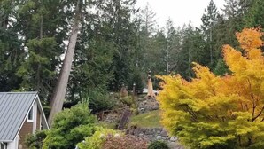 Een huis met een stenen steunmuur, omringd door diverse struiken en bomen, waaronder een opvallende boom met gele bladeren.