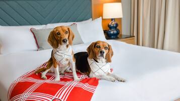 Premium bedding, down duvets, in-room safe, desk