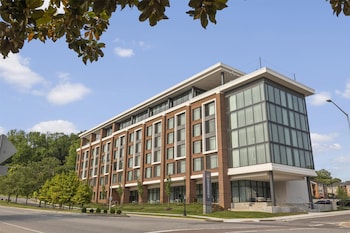 The Highlander at Radford, Tapestry Collection by Hilton