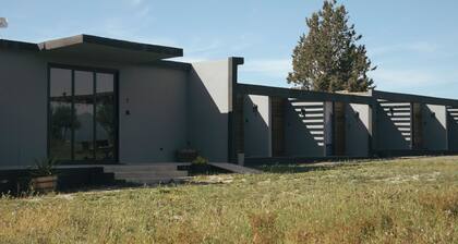 Pulso Valle de Guadalupe
