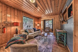 Televisión de pantalla plana, chimenea y libros 