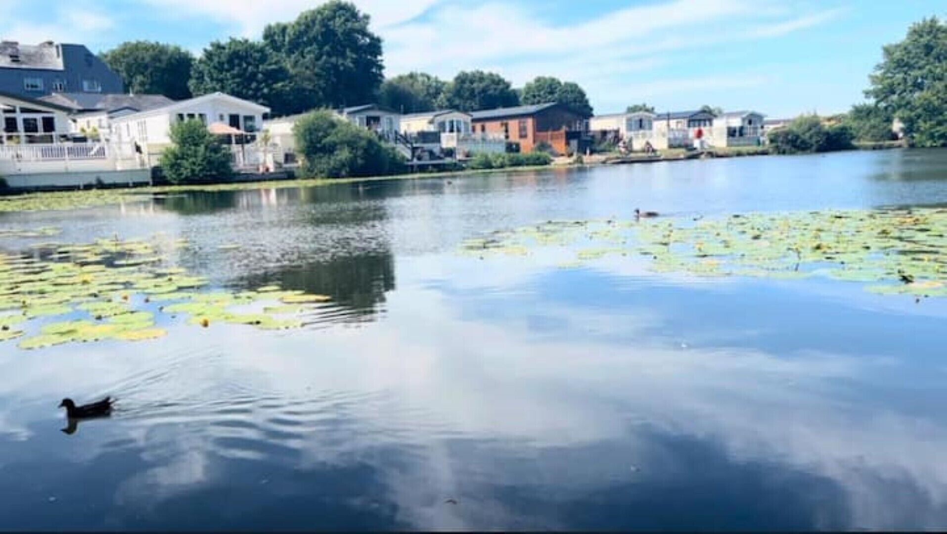 En rolig sø med sivplanter og en ænd, omgivet af huse med uhindret udsigt til vandet.