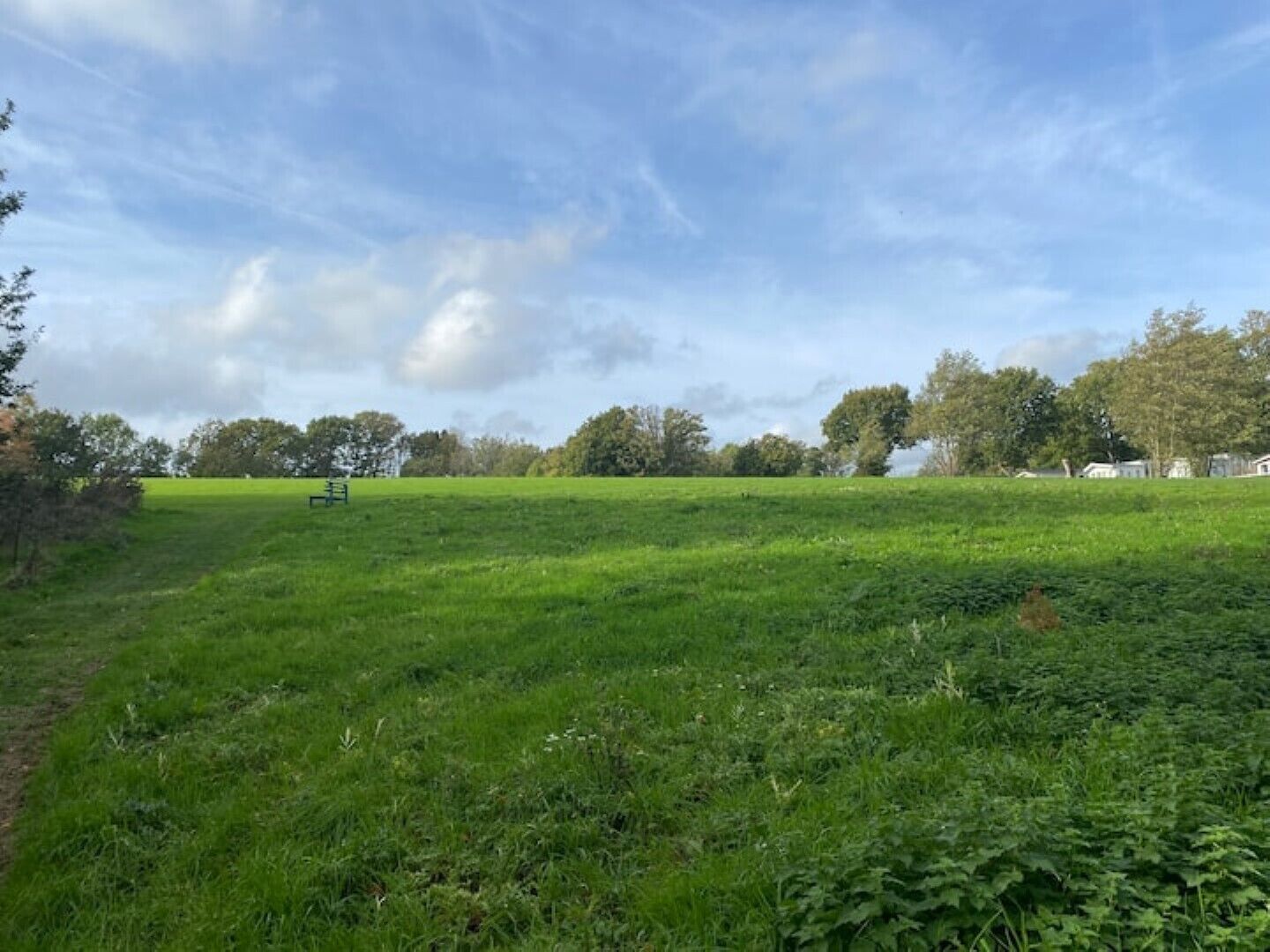 Un campo cubierto de césped con un banco y árboles al fondo.