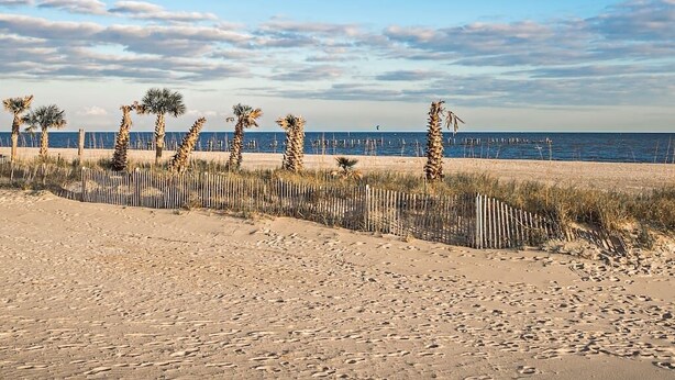 Ein sandiger Strand mit Palmen und einem Holzzaun.