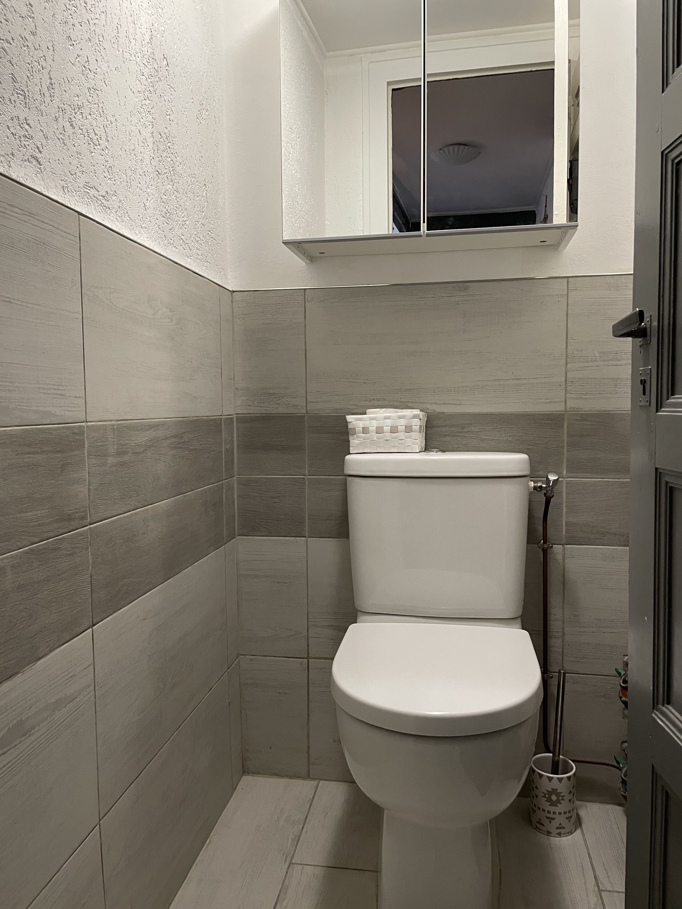 Een kleine, moderne badkamer met toilet, handdoekhouder en douche.