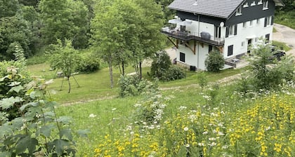 LES COMBES apartment-chalet sleeps 4 classified 3 * LES ROUSSES