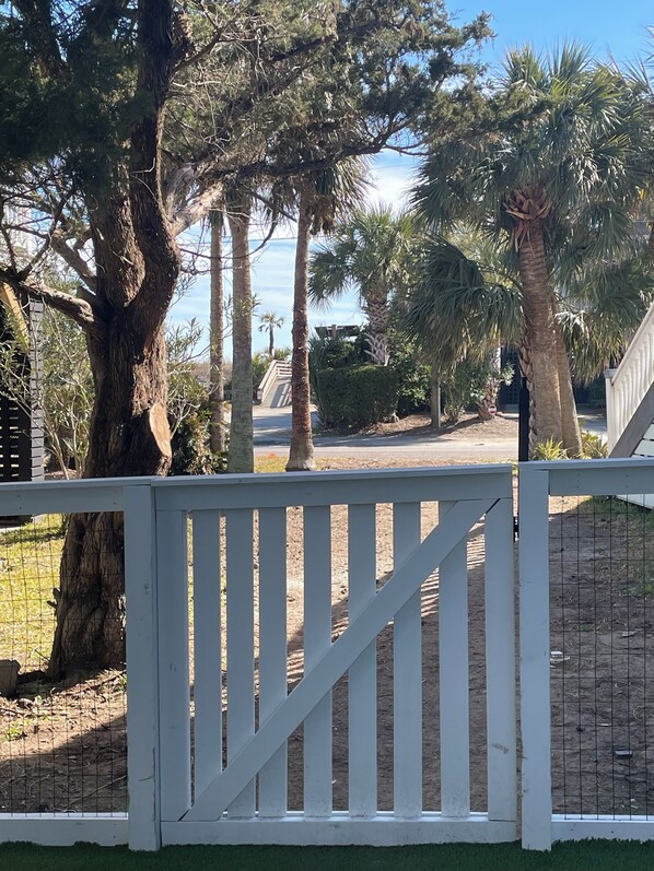 A gated area with a white fence, palm trees, and a clear sky.