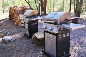 Property grounds - Pet friendly Fun Family Cabin- 3 Beds, Fireplace, Horseshoes, Swing, Hottub (Payson)