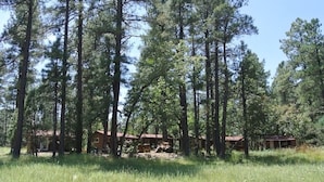 A cabin surrounded by tall pine trees in a forested area. - Pet friendly Fun Family Cabin- 3 Beds, Fireplace, Horseshoes, Swing, Hottub (Payson)