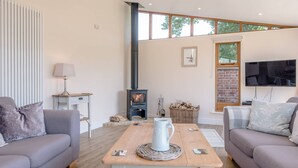 TV, fireplace - The Granary, Stradbroke (Diss)