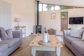 تلفزيون، مدفأة