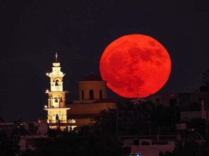 Experience the majestic night sky and historic tower, set against a backdrop of intricately designed buildings.