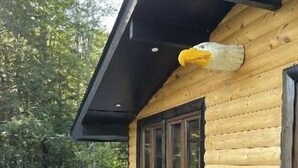 Une cabane en rondins dotée d’une terrasse, de meubles d’extérieur et d’une grande fenêtre.