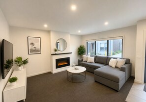 Smart TV, fireplace, books