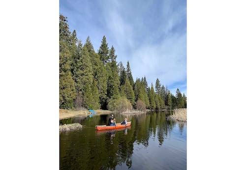 Explore and Unwind!  Large Deck & EV Charger