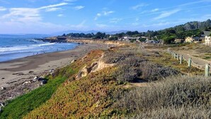Paisaje costero con playa, vegetación y casas al fondo.