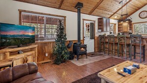 Een gezellige woonkamer met een open haard, een televisie en een kerstboom.