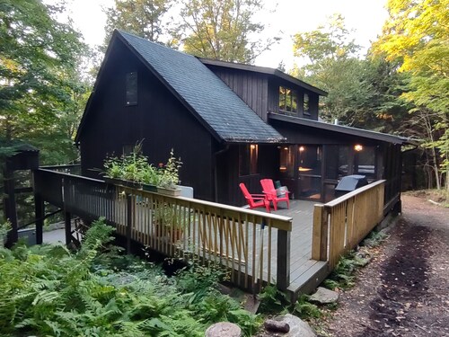 Upper Saranac Lake. Beach/dock/boat ramp. King bed, pets, paddle, hike, Olympic