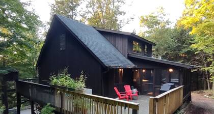 Upper Saranac Lake. Beach/dock/boat ramp. King bed, pets, paddle, hike, Olympic