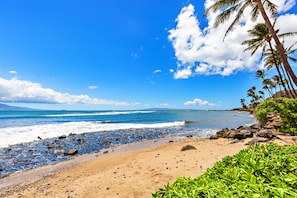 A beach with clear blue water, rocky shore, and palm trees. - Wake to Haleakalā Sunrises and Endless Ocean Views (Wailuku)