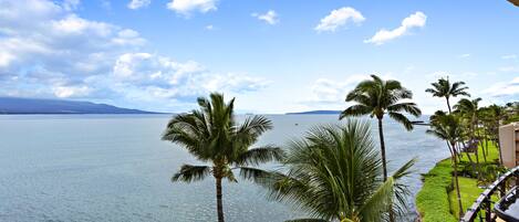 Vista da propriedade