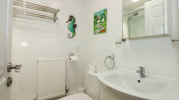 Shower, hair dryer
