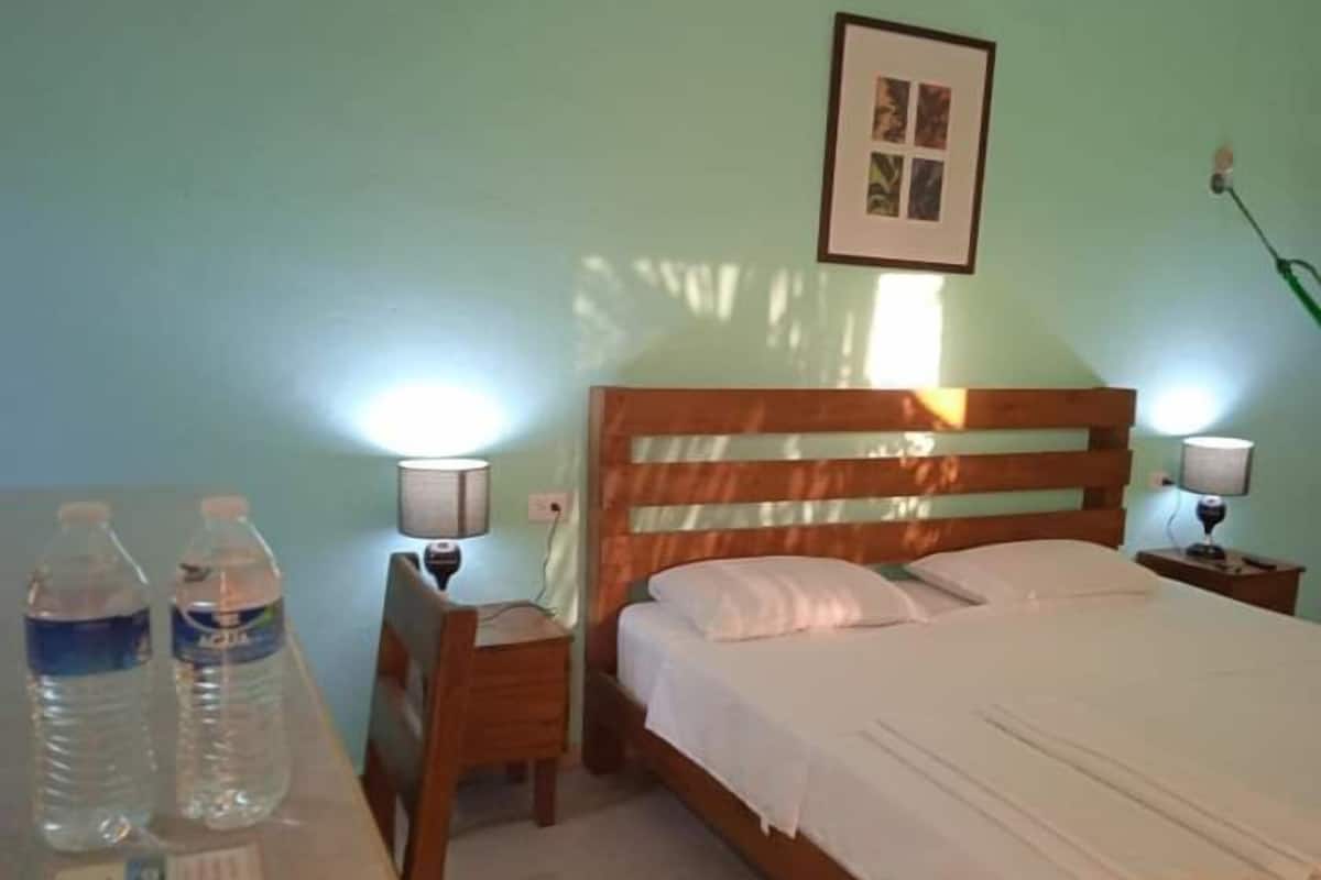 Standard Single Room | Minibar, WiFi (free), bed sheets