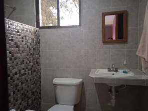 Family Room | Bathroom | Shower, free toiletries, towels