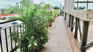 A balcony with potted plants, a tiled floor, and a railing. - Hotel Yorio Inn (Tuxpan)