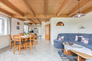 Fernseher, Kamin, Tischtennisplatte, Stereoanlage