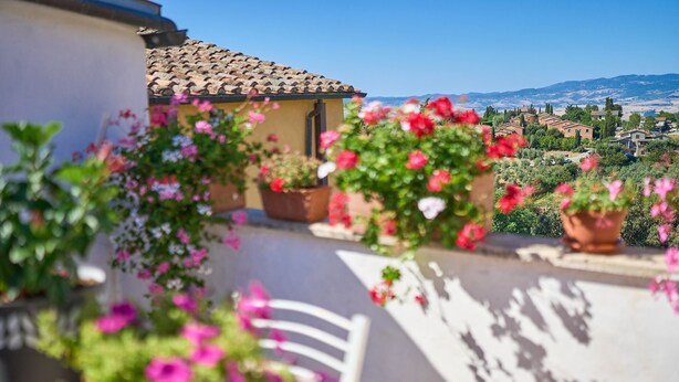 A terrace with potted plants and a view of a village.