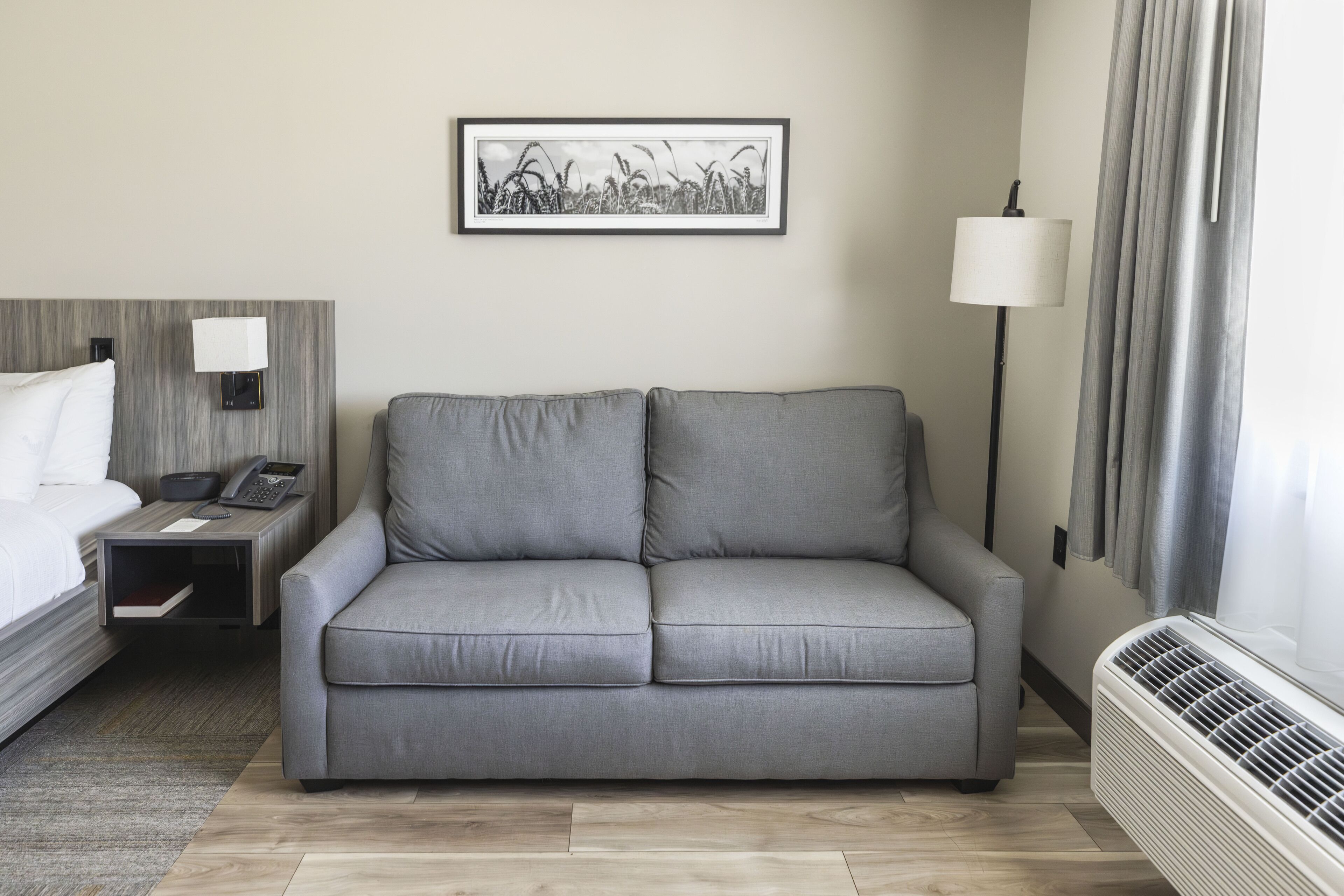 A modern hotel room with a grey sofa, a bedside table with a lamp, a framed picture on the wall, and a window with curtains.