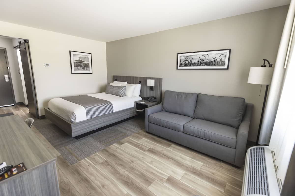 A hotel room with a bed, a sofa, a desk, and a lamp.