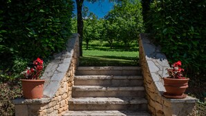 A stone staircase leading to a grassy area, surrounded by lush greenery and potted plants.