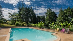 A swimming pool with a curved edge, surrounded by a paved area with chairs and lush greenery in the background.