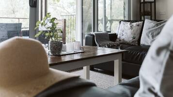 Smart TV, fireplace, books