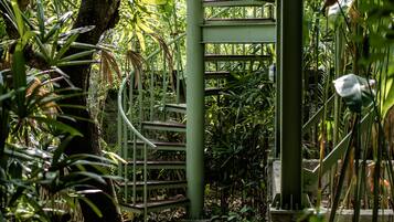 Taman