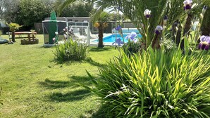 Ein gepflegter Garten mit Pool, Palmen und verschiedenen Pflanzen.