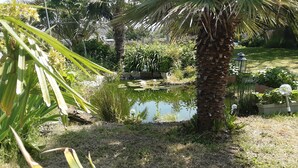 Ein Garten mit Teich, Palmen und verschiedenen Pflanzen.