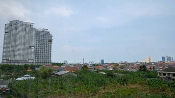 Estudio | Vistas a la ciudad