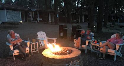 Newly updated bath! Indoor fireplace & Jacuzzi xtra room w kid cot; porch swing