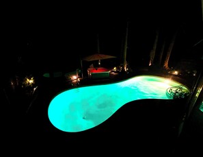 Outdoor pool, a heated pool - Fully AirConditioned Resort Style home living w/Hottub,outdoor shower and  pool. (Delta)